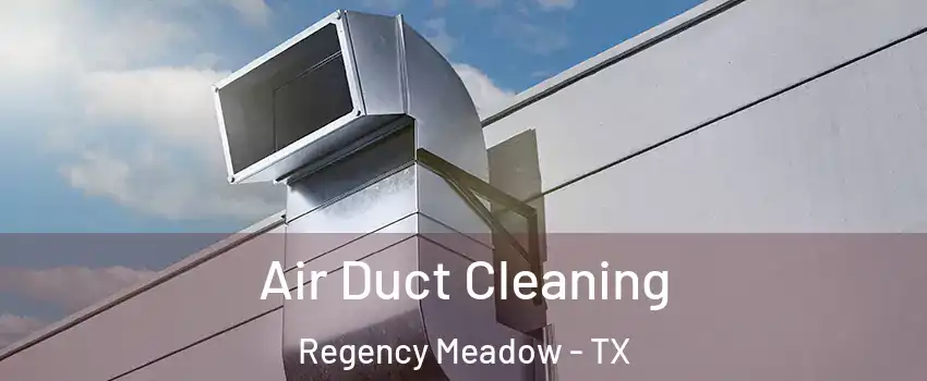 Air Duct Cleaning Regency Meadow - TX