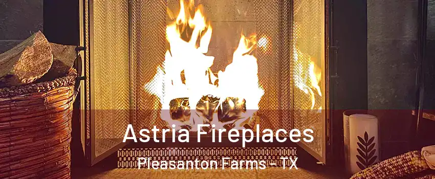 Astria Fireplaces Pleasanton Farms - TX