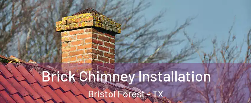 Brick Chimney Installation Bristol Forest - TX