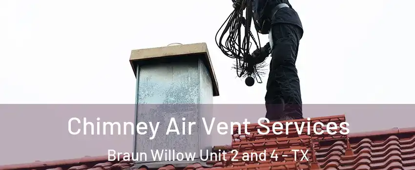 Chimney Air Vent Services Braun Willow Unit 2 and 4 - TX