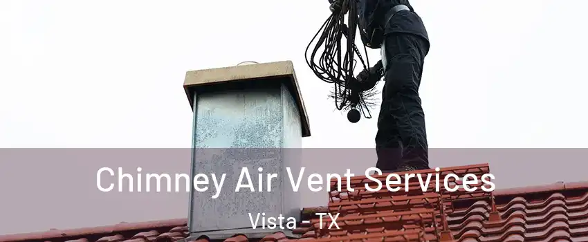 Chimney Air Vent Services Vista - TX