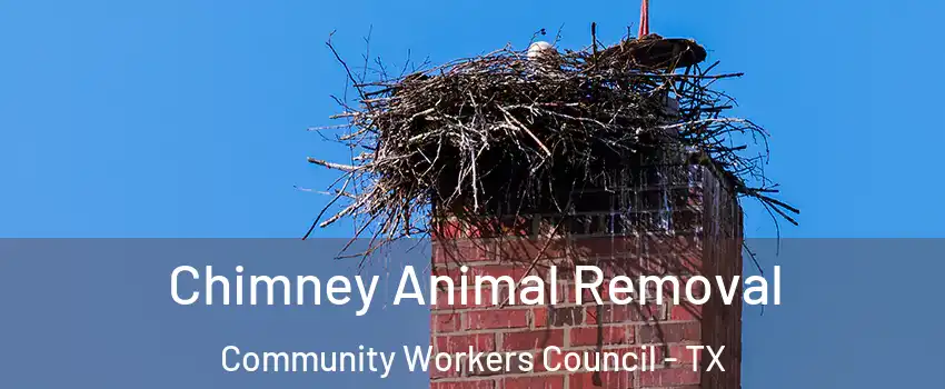 Chimney Animal Removal Community Workers Council - TX