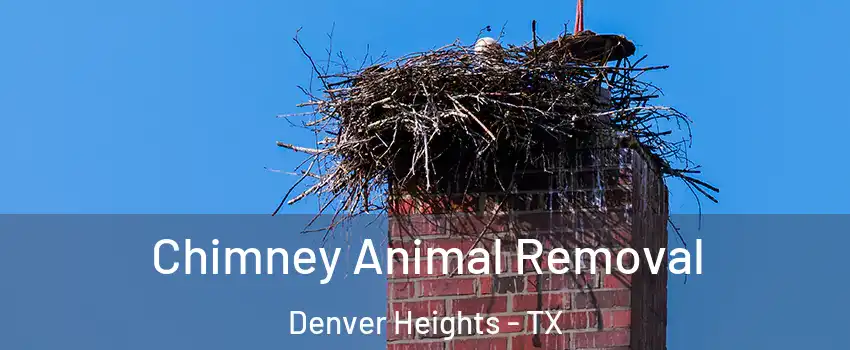 Chimney Animal Removal Denver Heights - TX