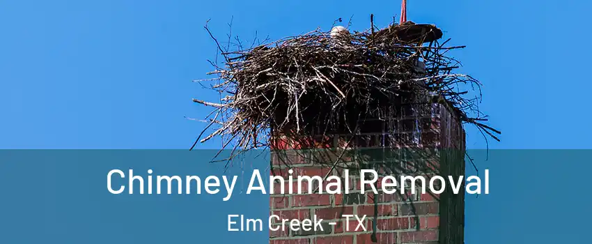 Chimney Animal Removal Elm Creek - TX