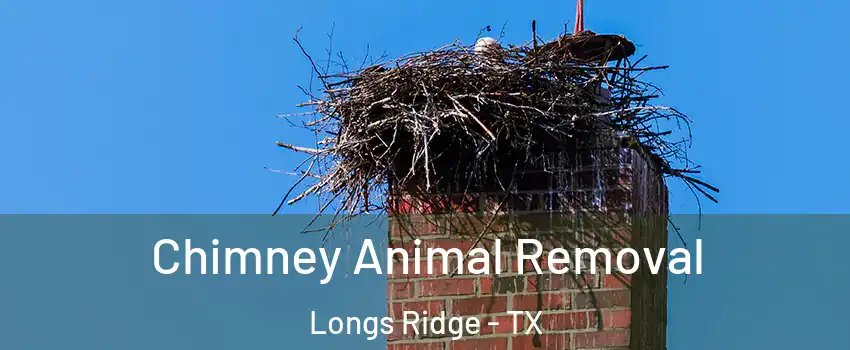 Chimney Animal Removal Longs Ridge - TX