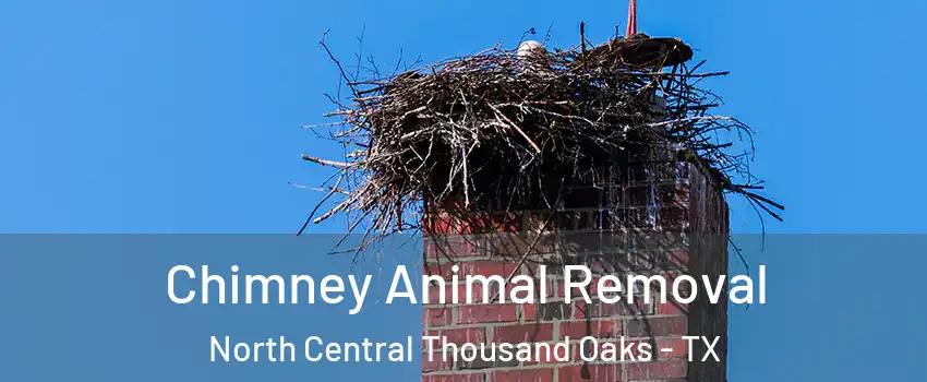 Chimney Animal Removal North Central Thousand Oaks - TX