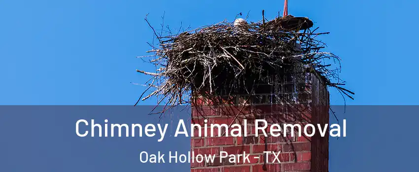 Chimney Animal Removal Oak Hollow Park - TX