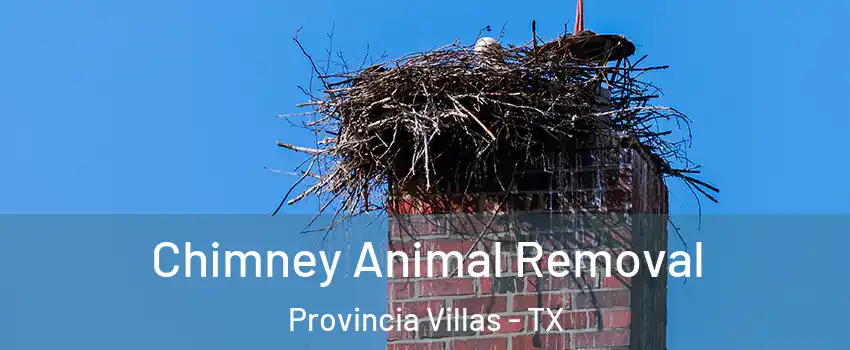 Chimney Animal Removal Provincia Villas - TX