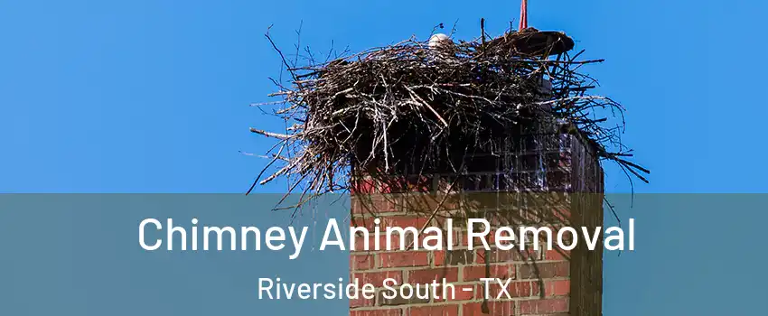 Chimney Animal Removal Riverside South - TX