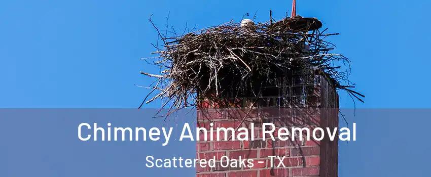 Chimney Animal Removal Scattered Oaks - TX