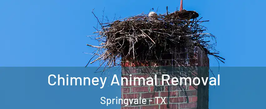 Chimney Animal Removal Springvale - TX