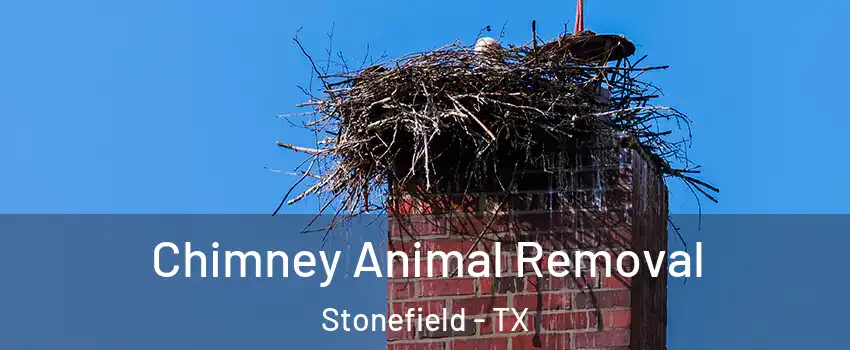 Chimney Animal Removal Stonefield - TX