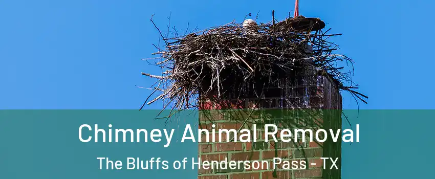 Chimney Animal Removal The Bluffs of Henderson Pass - TX