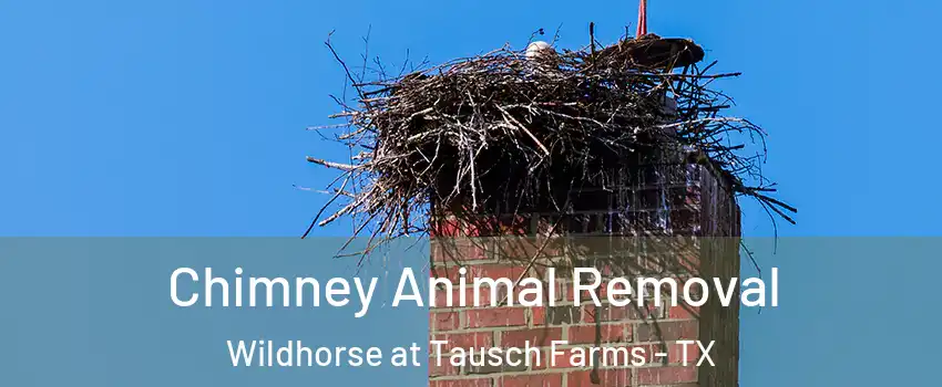 Chimney Animal Removal Wildhorse at Tausch Farms - TX