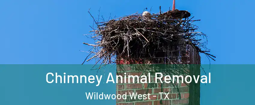 Chimney Animal Removal Wildwood West - TX