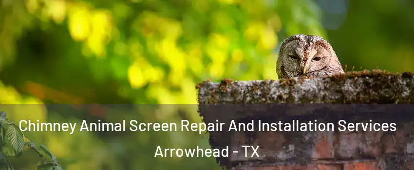 Chimney Animal Screen Repair And Installation Services Arrowhead - TX