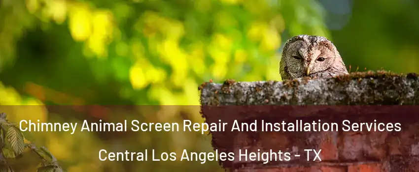 Chimney Animal Screen Repair And Installation Services Central Los Angeles Heights - TX