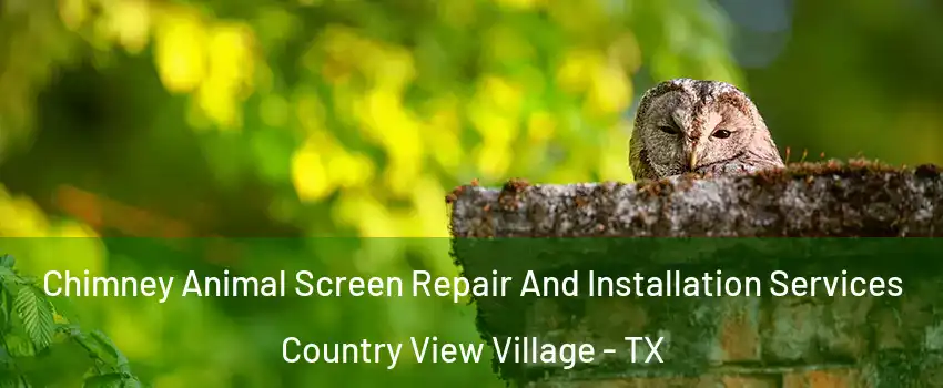 Chimney Animal Screen Repair And Installation Services Country View Village - TX