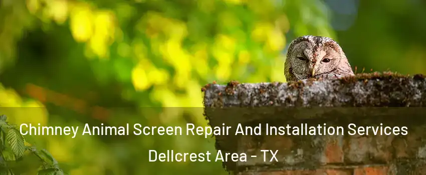 Chimney Animal Screen Repair And Installation Services Dellcrest Area - TX