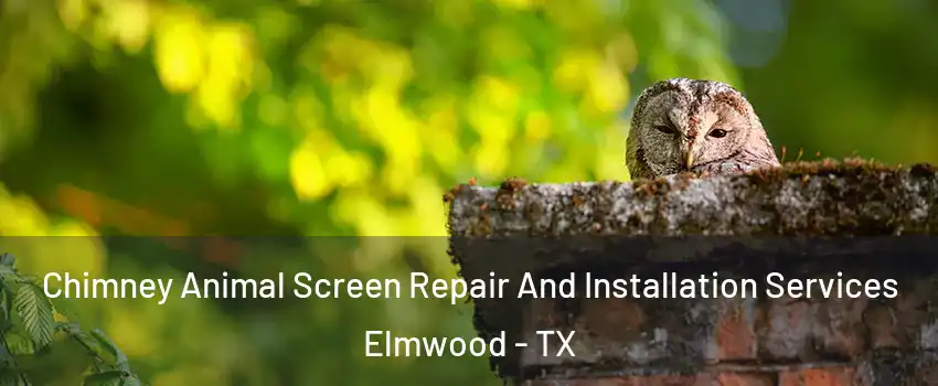 Chimney Animal Screen Repair And Installation Services Elmwood - TX