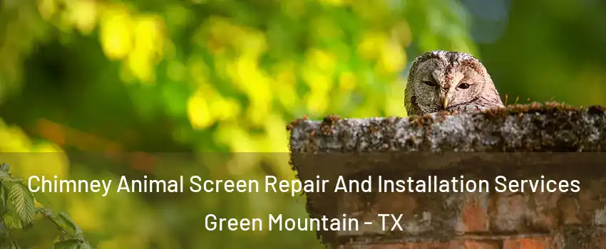 Chimney Animal Screen Repair And Installation Services Green Mountain - TX