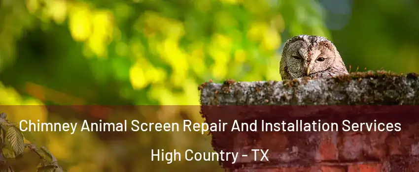 Chimney Animal Screen Repair And Installation Services High Country - TX