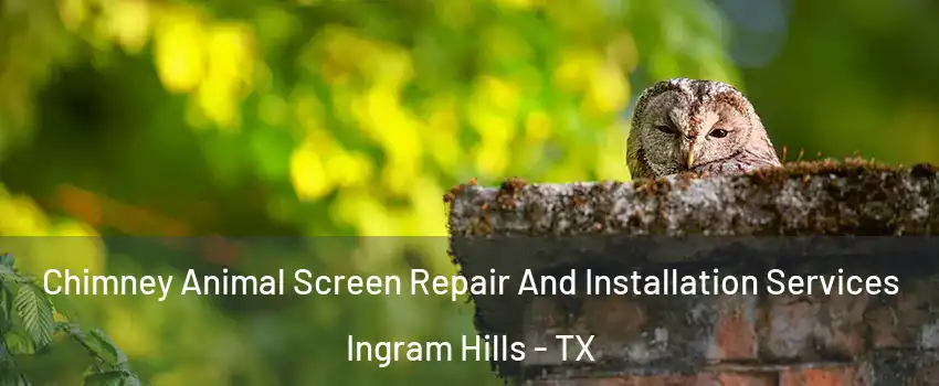 Chimney Animal Screen Repair And Installation Services Ingram Hills - TX