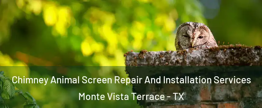 Chimney Animal Screen Repair And Installation Services Monte Vista Terrace - TX