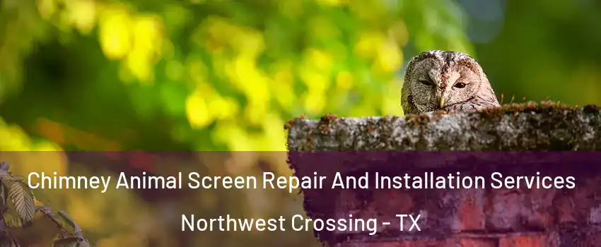 Chimney Animal Screen Repair And Installation Services Northwest Crossing - TX