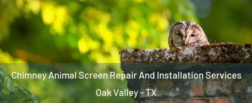 Chimney Animal Screen Repair And Installation Services Oak Valley - TX