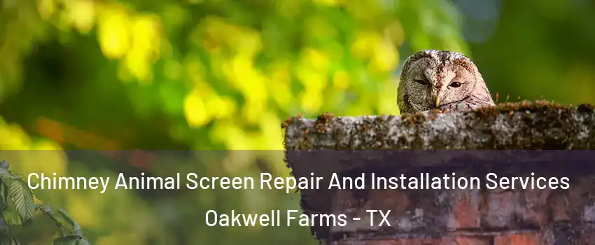 Chimney Animal Screen Repair And Installation Services Oakwell Farms - TX