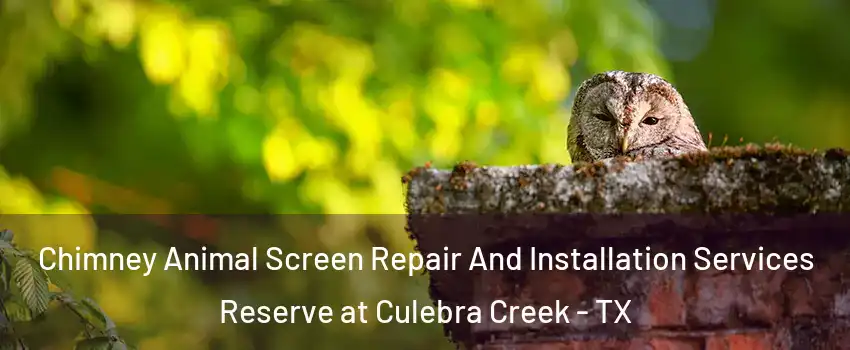 Chimney Animal Screen Repair And Installation Services Reserve at Culebra Creek - TX