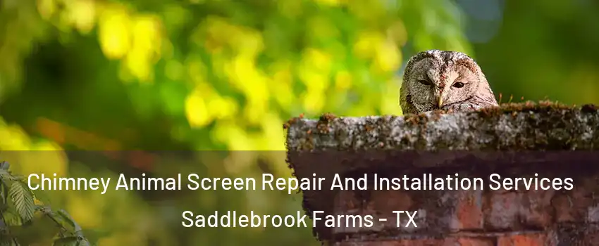 Chimney Animal Screen Repair And Installation Services Saddlebrook Farms - TX