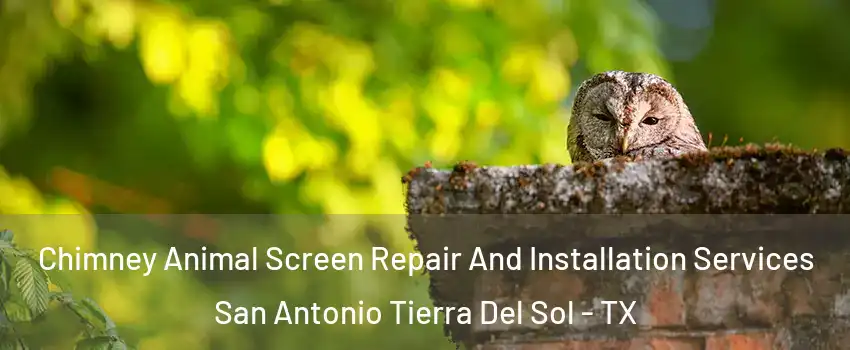 Chimney Animal Screen Repair And Installation Services San Antonio Tierra Del Sol - TX