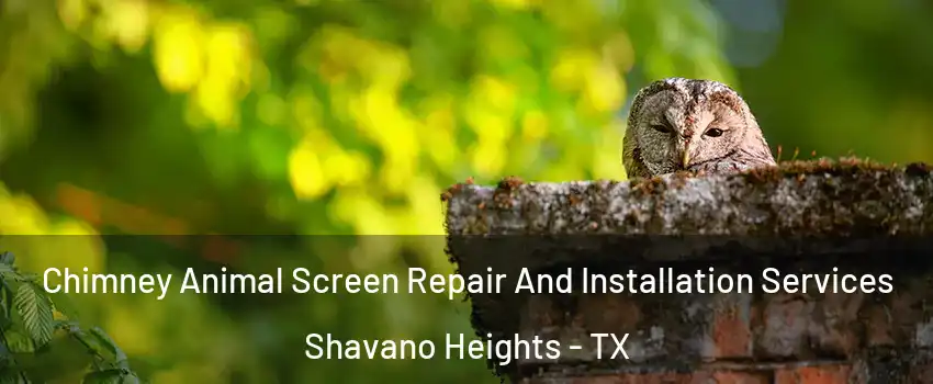 Chimney Animal Screen Repair And Installation Services Shavano Heights - TX