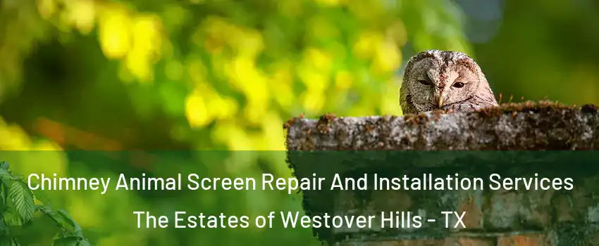 Chimney Animal Screen Repair And Installation Services The Estates of Westover Hills - TX