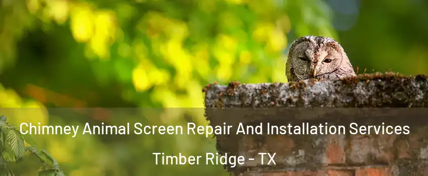 Chimney Animal Screen Repair And Installation Services Timber Ridge - TX