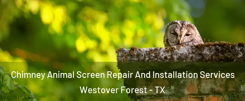 Chimney Animal Screen Repair And Installation Services Westover Forest - TX