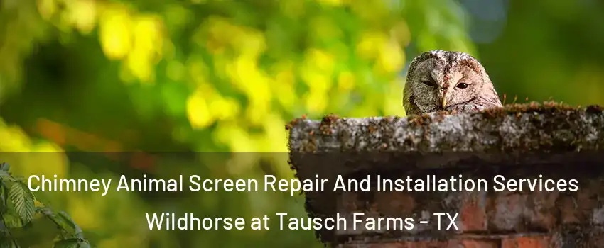 Chimney Animal Screen Repair And Installation Services Wildhorse at Tausch Farms - TX