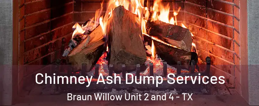 Chimney Ash Dump Services Braun Willow Unit 2 and 4 - TX