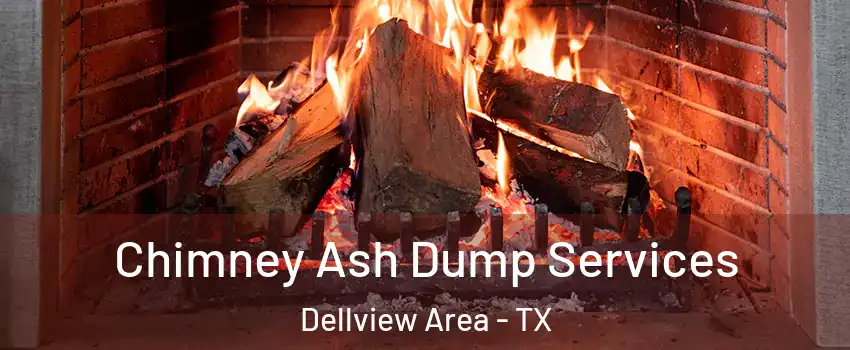 Chimney Ash Dump Services Dellview Area - TX