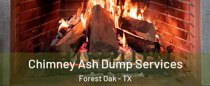 Chimney Ash Dump Services Forest Oak - TX