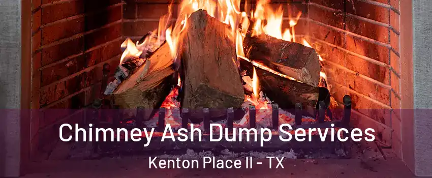 Chimney Ash Dump Services Kenton Place II - TX