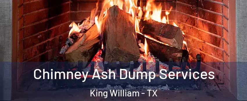 Chimney Ash Dump Services King William - TX