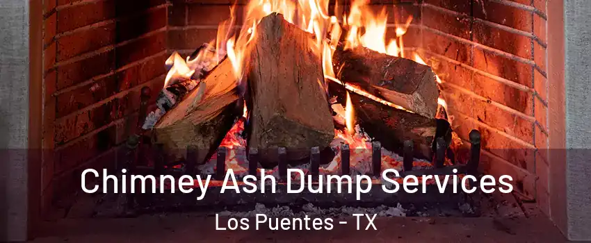 Chimney Ash Dump Services Los Puentes - TX