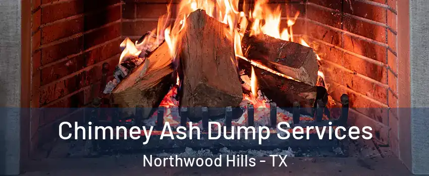 Chimney Ash Dump Services Northwood Hills - TX