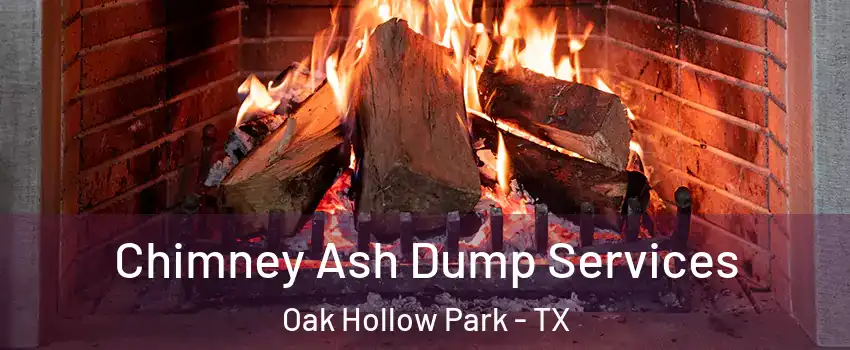 Chimney Ash Dump Services Oak Hollow Park - TX