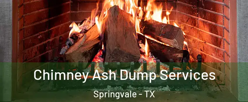 Chimney Ash Dump Services Springvale - TX