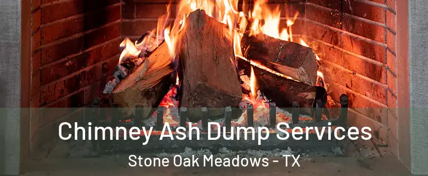 Chimney Ash Dump Services Stone Oak Meadows - TX