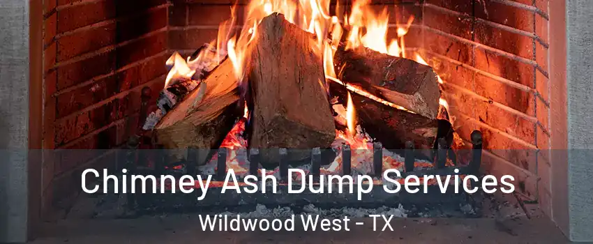 Chimney Ash Dump Services Wildwood West - TX